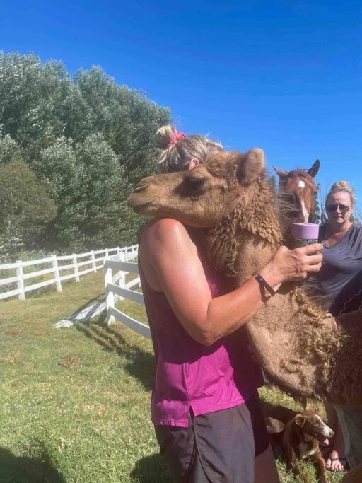 베리데일 Lappi Farm 빌라 외부 사진