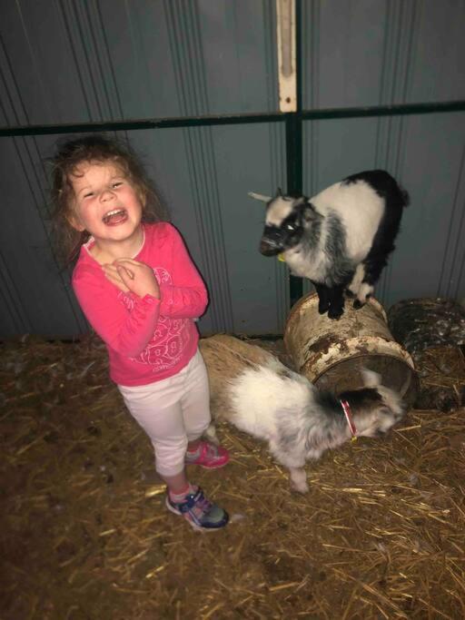 베리데일 Lappi Farm 빌라 외부 사진