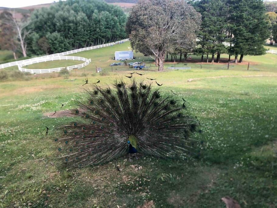 베리데일 Lappi Farm 빌라 외부 사진